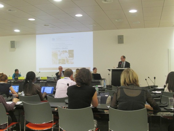 Olivier de Schutter, relator especial por el Derecho a la Alimentación de las Naciones Unidas (en pódium)