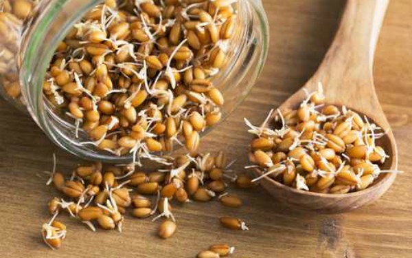 Cómo consumir el germen de trigo? receta y propiedades