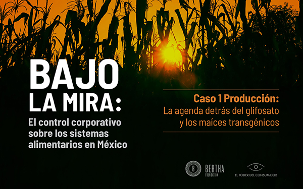 Banner de la serie de estudios Bajo la mira: El control corporativo sobre los sistemas alimentarios en México, y su caso 1: La agenda detrás del glifosato y los maíces transgénicos