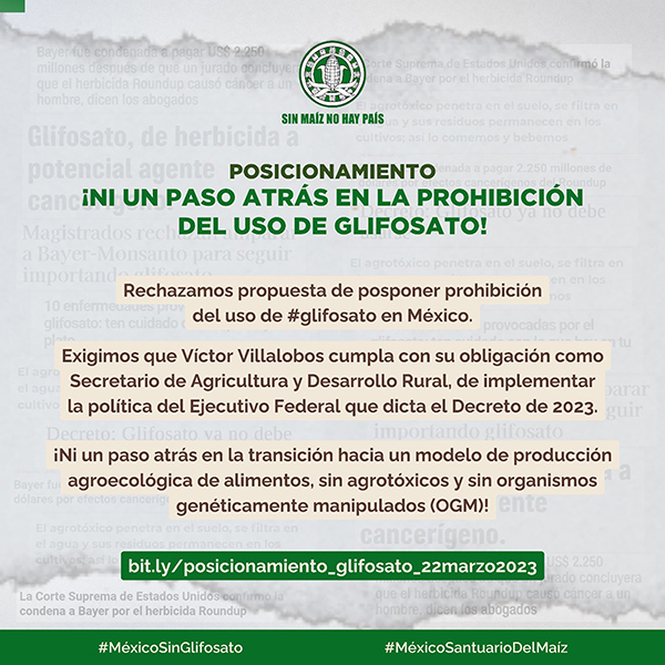Banner completo del posicionamiento de la Campaña Sin Maíz No Hay País ¡Ni un paso atrás en la prohibición del uso de glifosato!